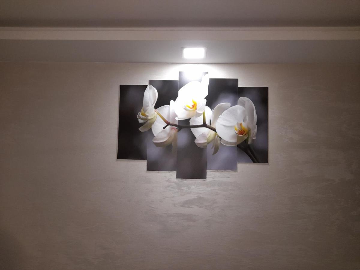 Appartement Daca 1 à Belgrade Extérieur photo